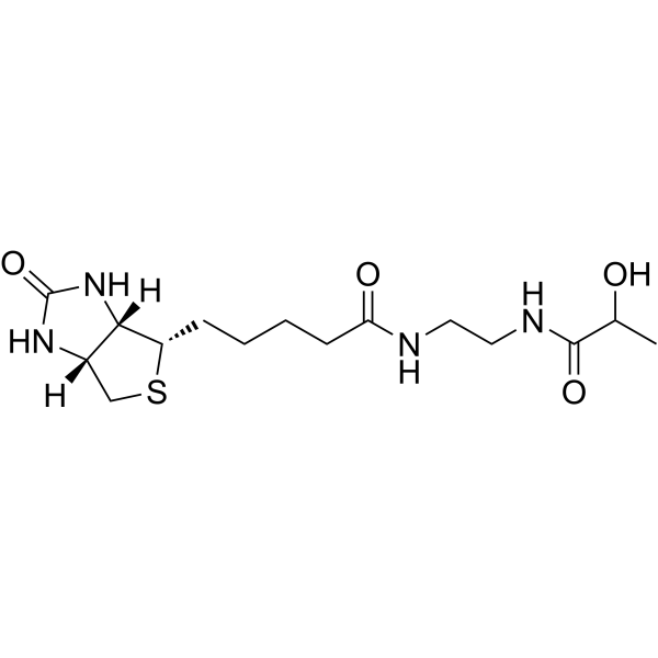 Lactate-Biotin
